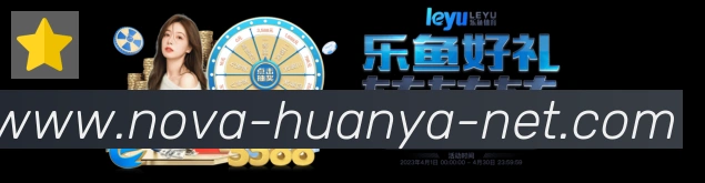 未来规划