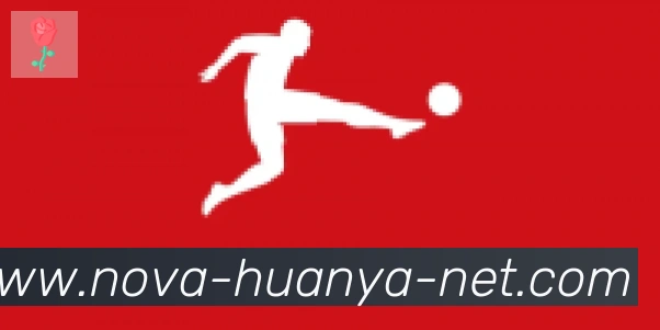 环亚体育合作伙伴